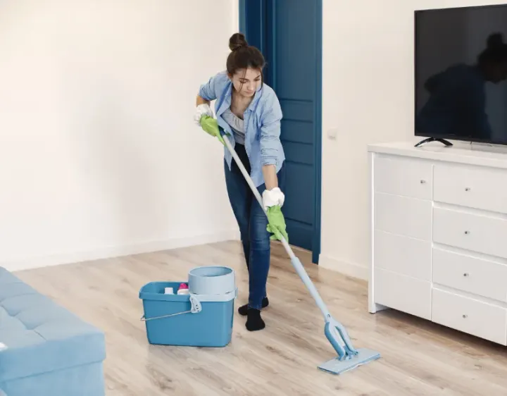 Femme de ménage Sachy